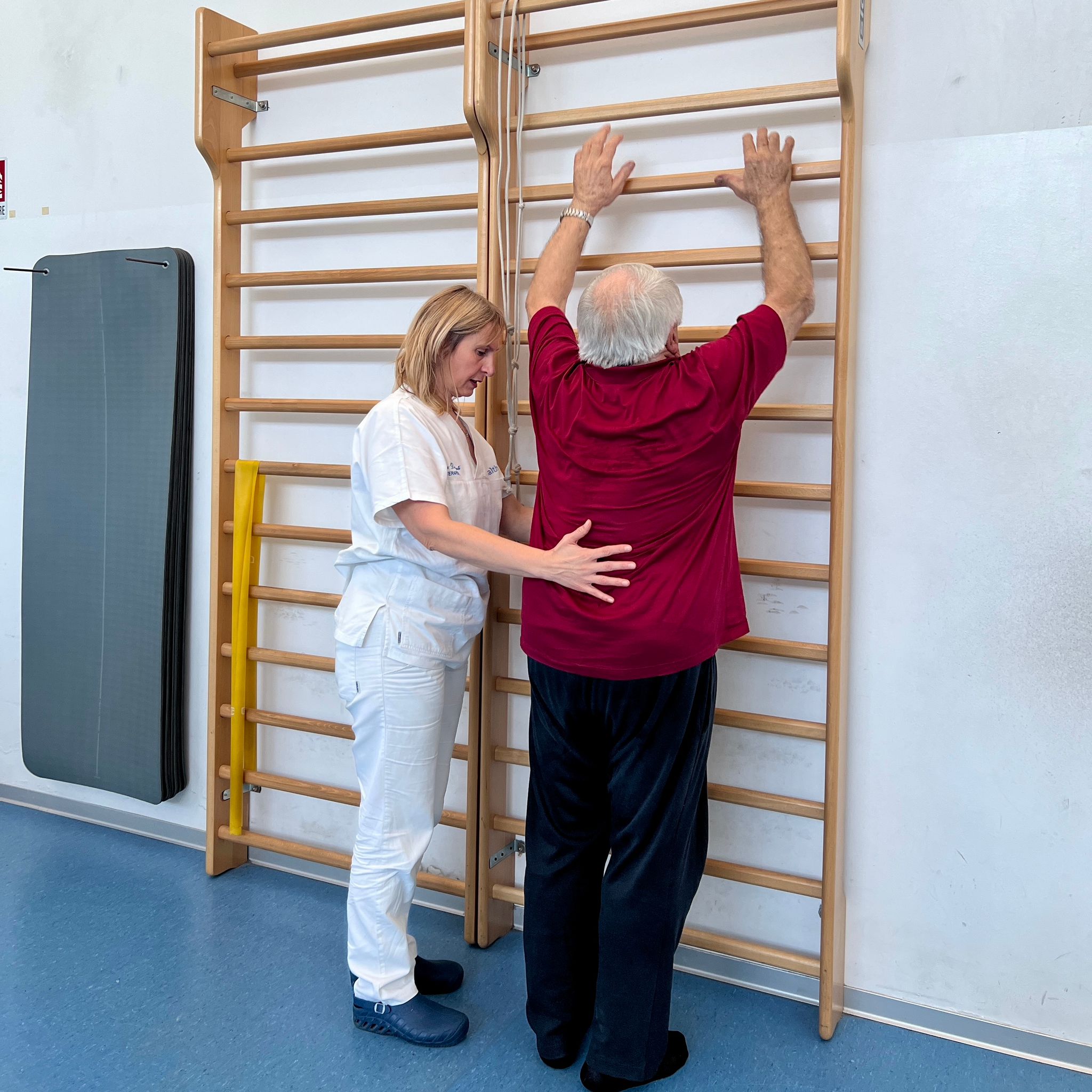 Fisioterapia geriatrica